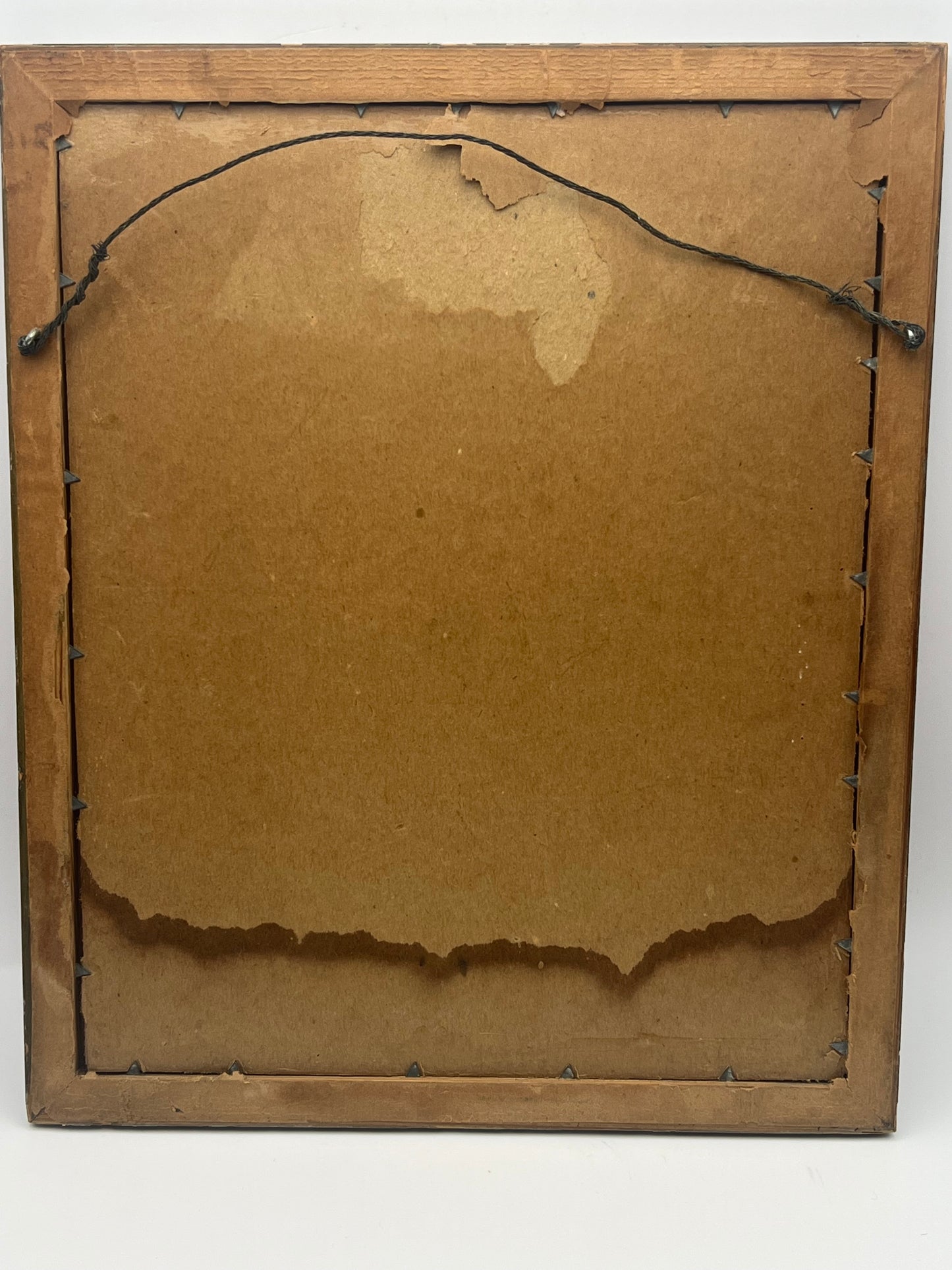 Hungarian Man Framed Print