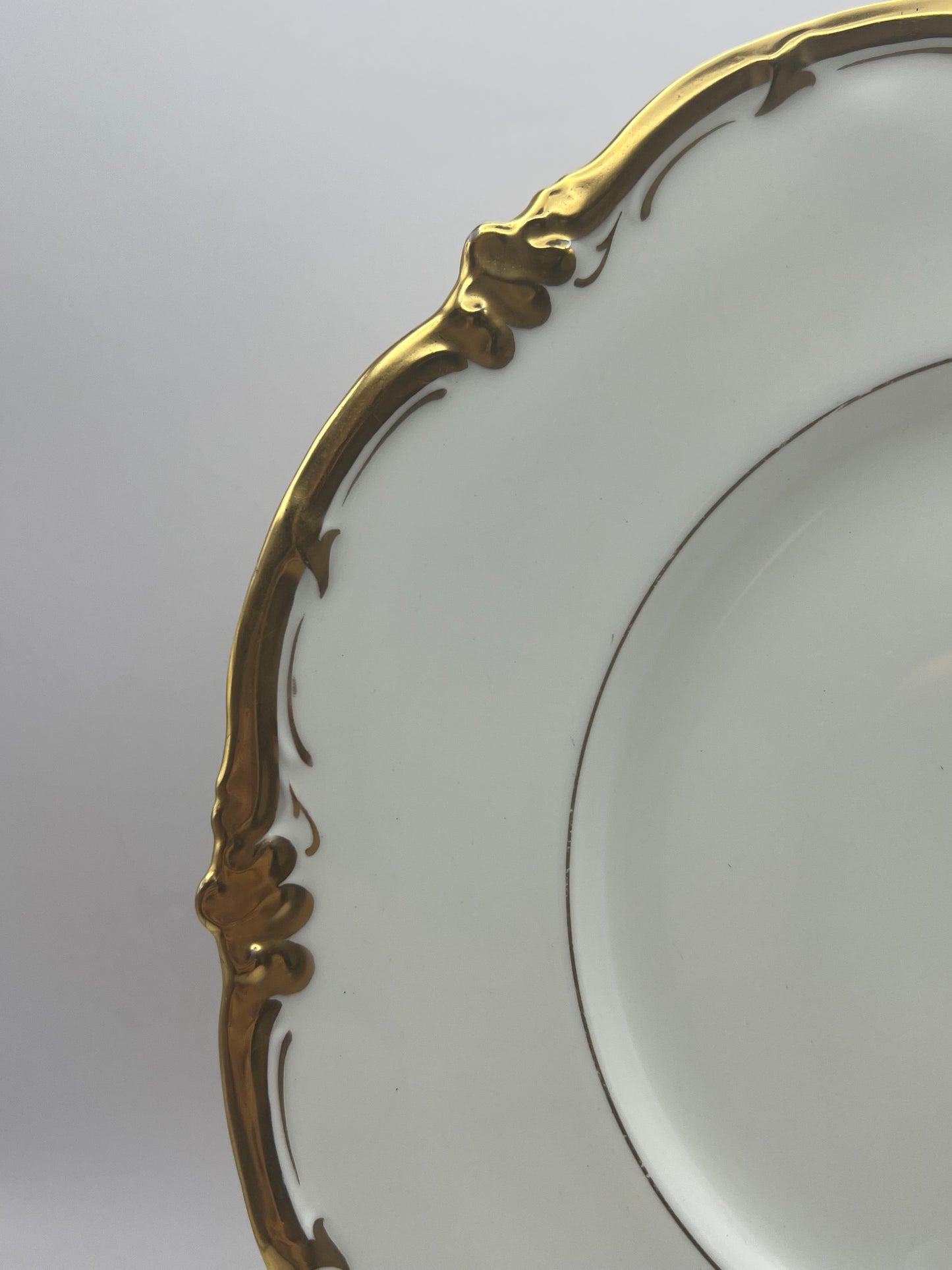 Royal Cauldon Porcelain "Eden" Large Decorative Plate