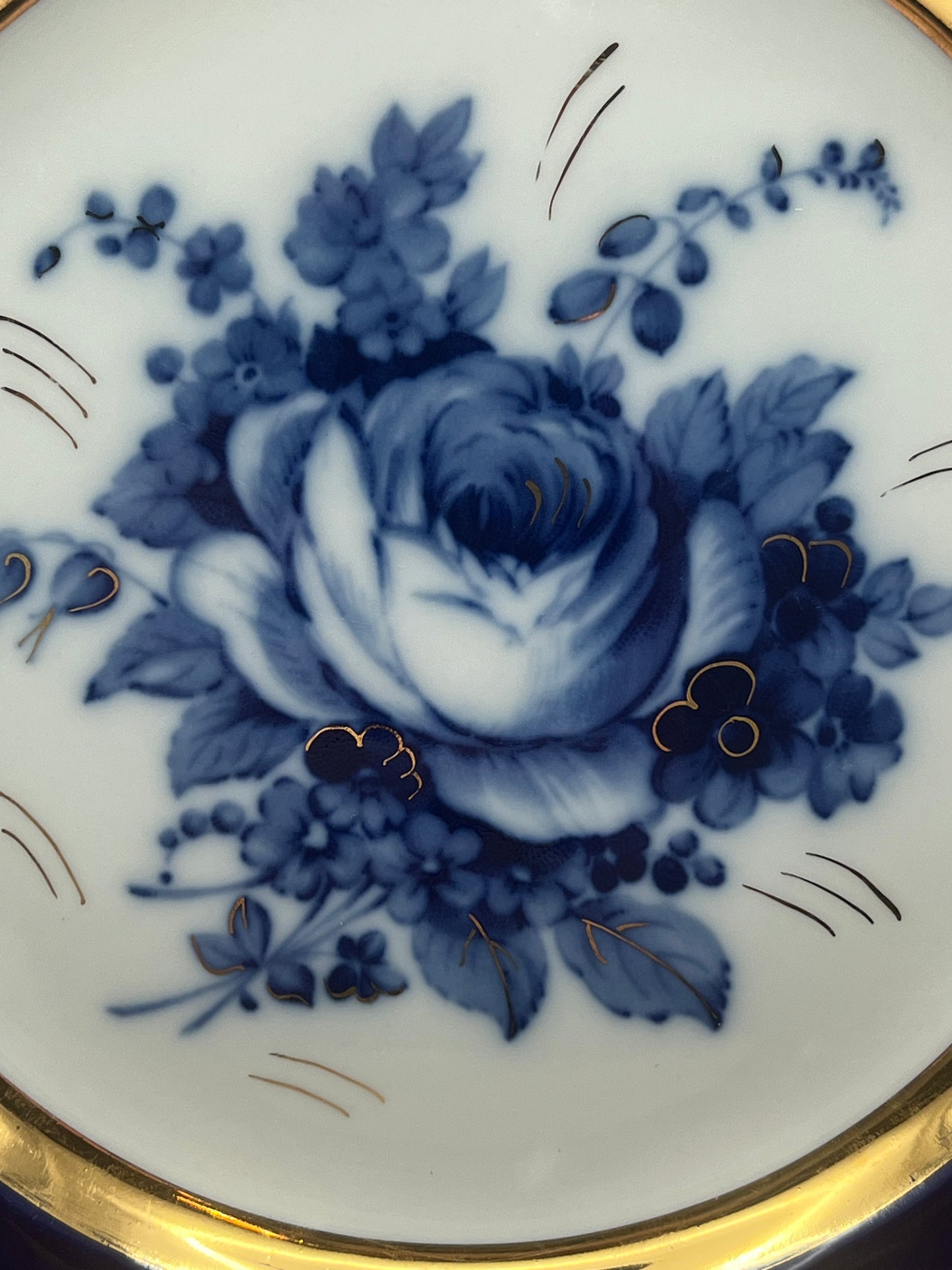 Epiag Carlsbad Cobalt Porcelain Decorative Plate