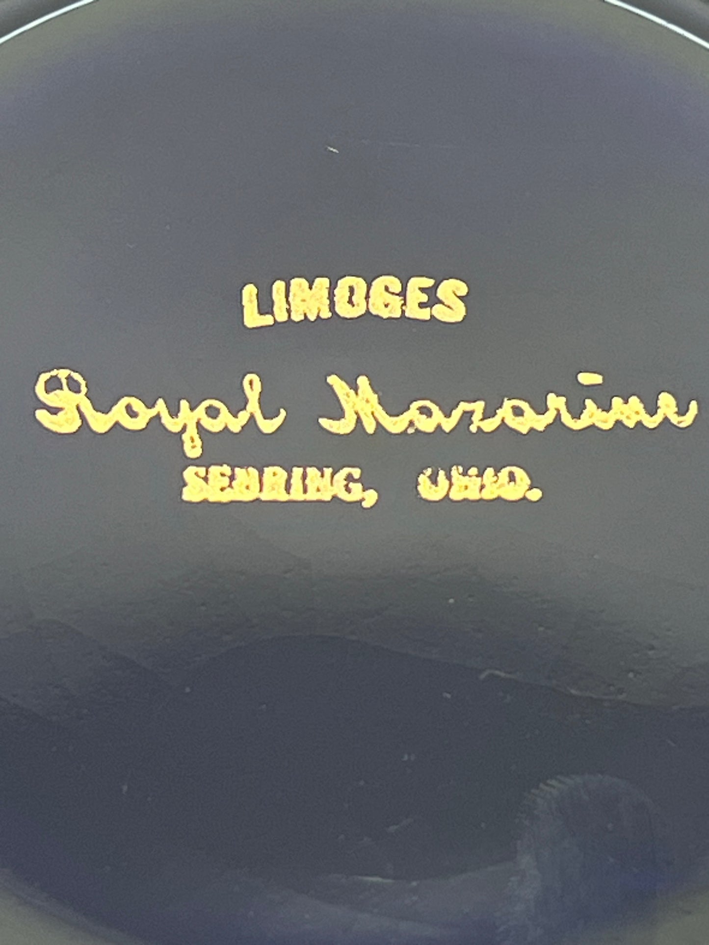 Limoges Royal Mazarine Square Dinner Plates