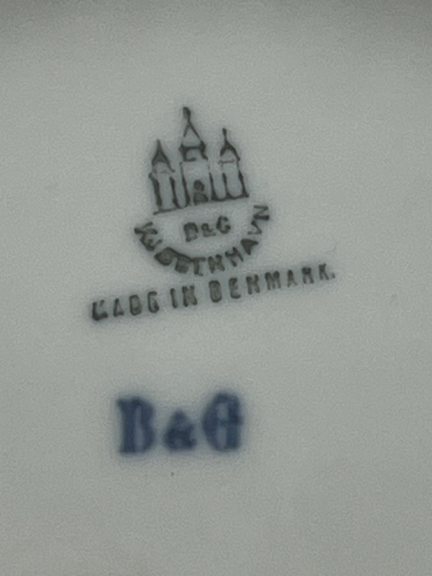 Bing & Grondahl King Christian lX Memorial Plate