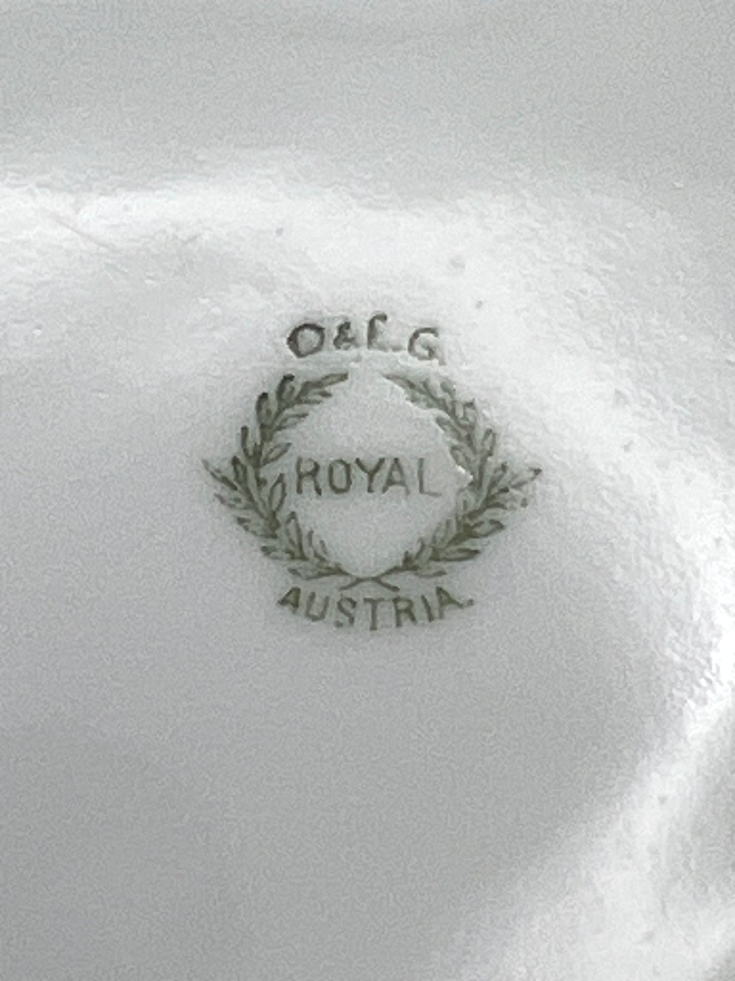 Royal Austria Porcelain Pink Salmon Fish Platter