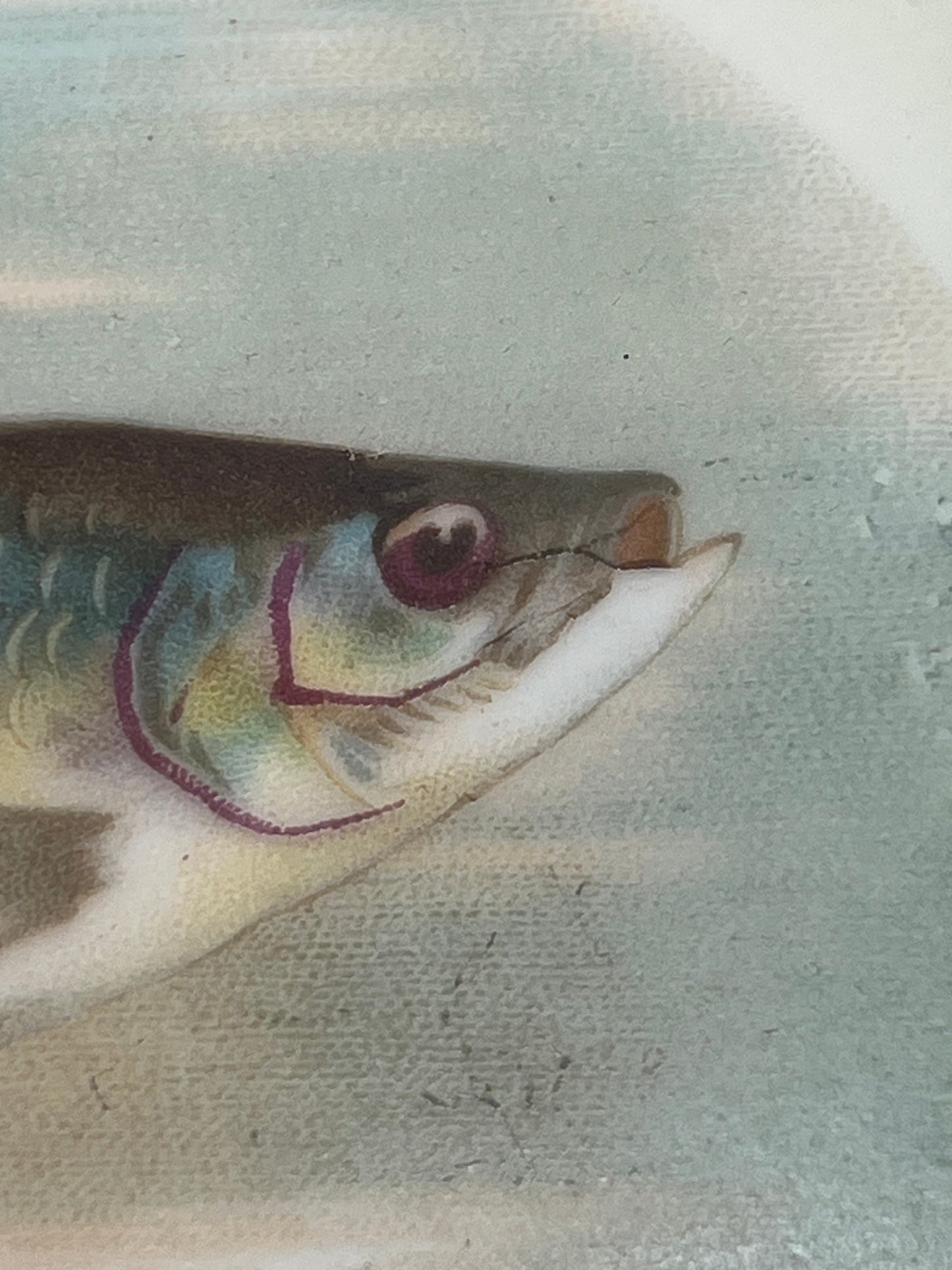 Mignon Z. S. & C. Co. of Bavaria Fish Plate Set