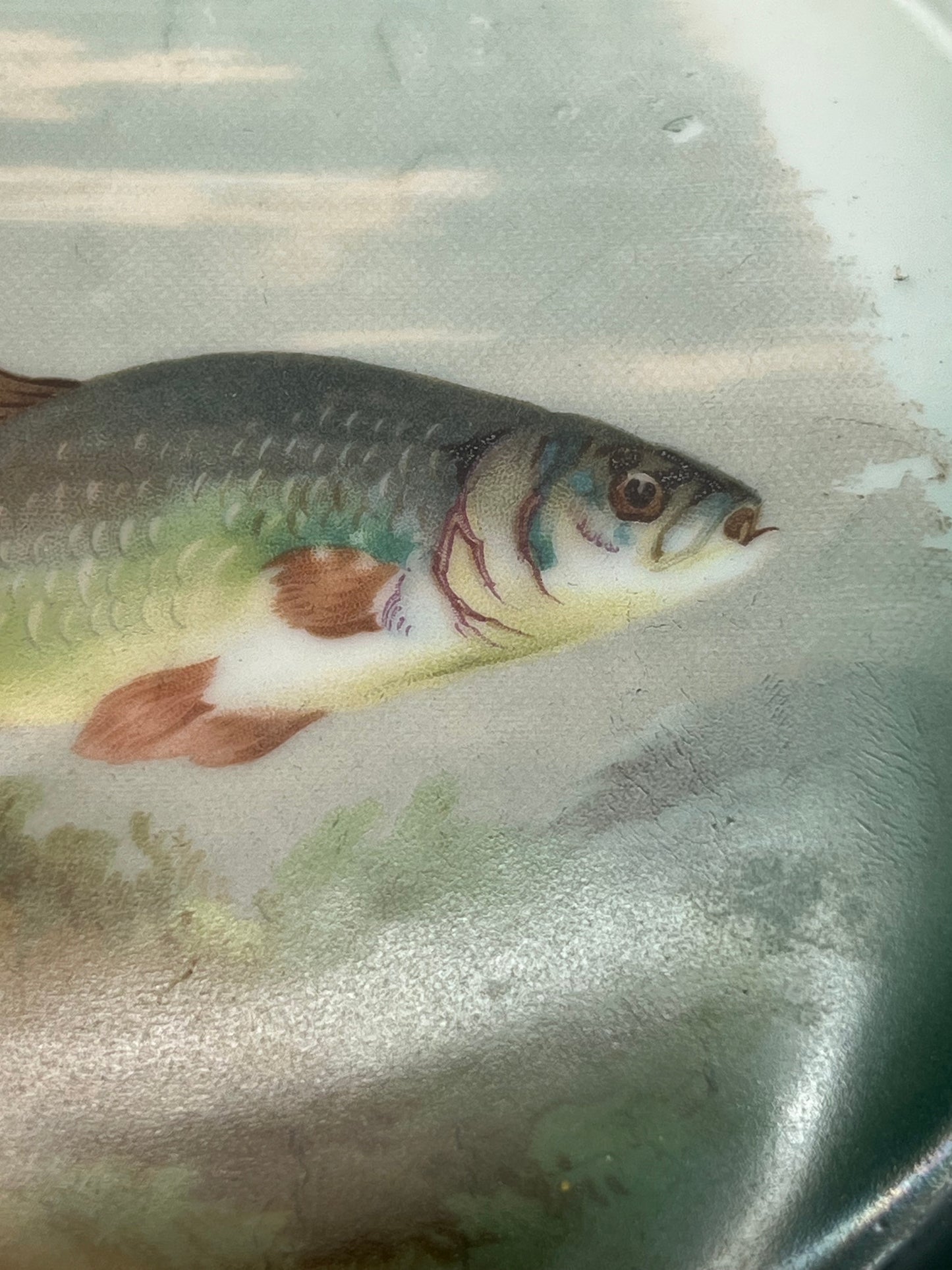 Mignon Z. S. & C. Co. of Bavaria Fish Plate Set