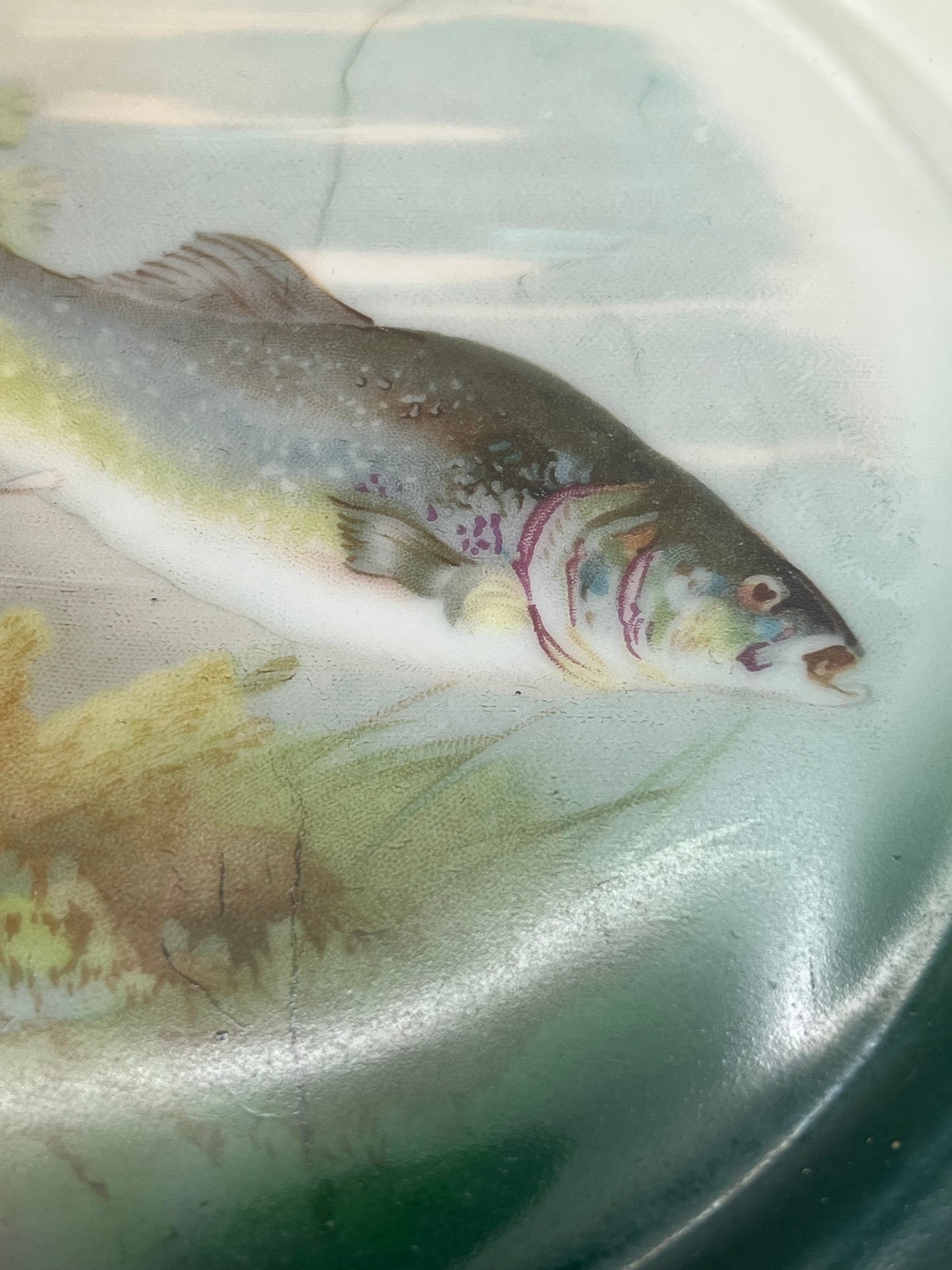 Mignon Z. S. & C. Co. of Bavaria Fish Plate Set
