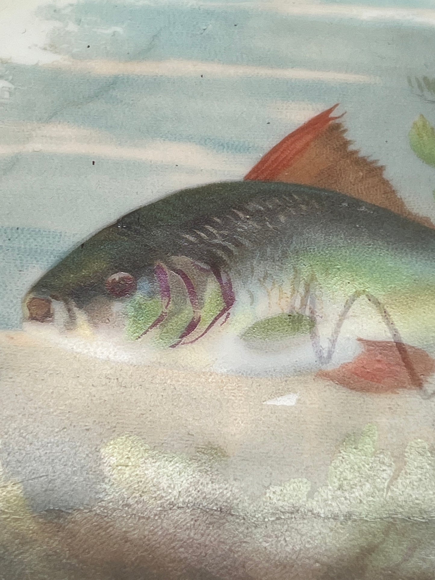 Mignon Z. S. & C. Co. of Bavaria Fish Plate Set