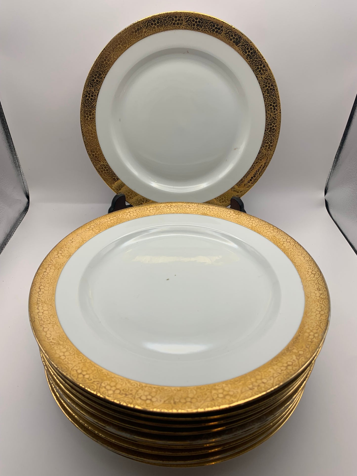 Bavaria Porcelain Dinner Plate Set