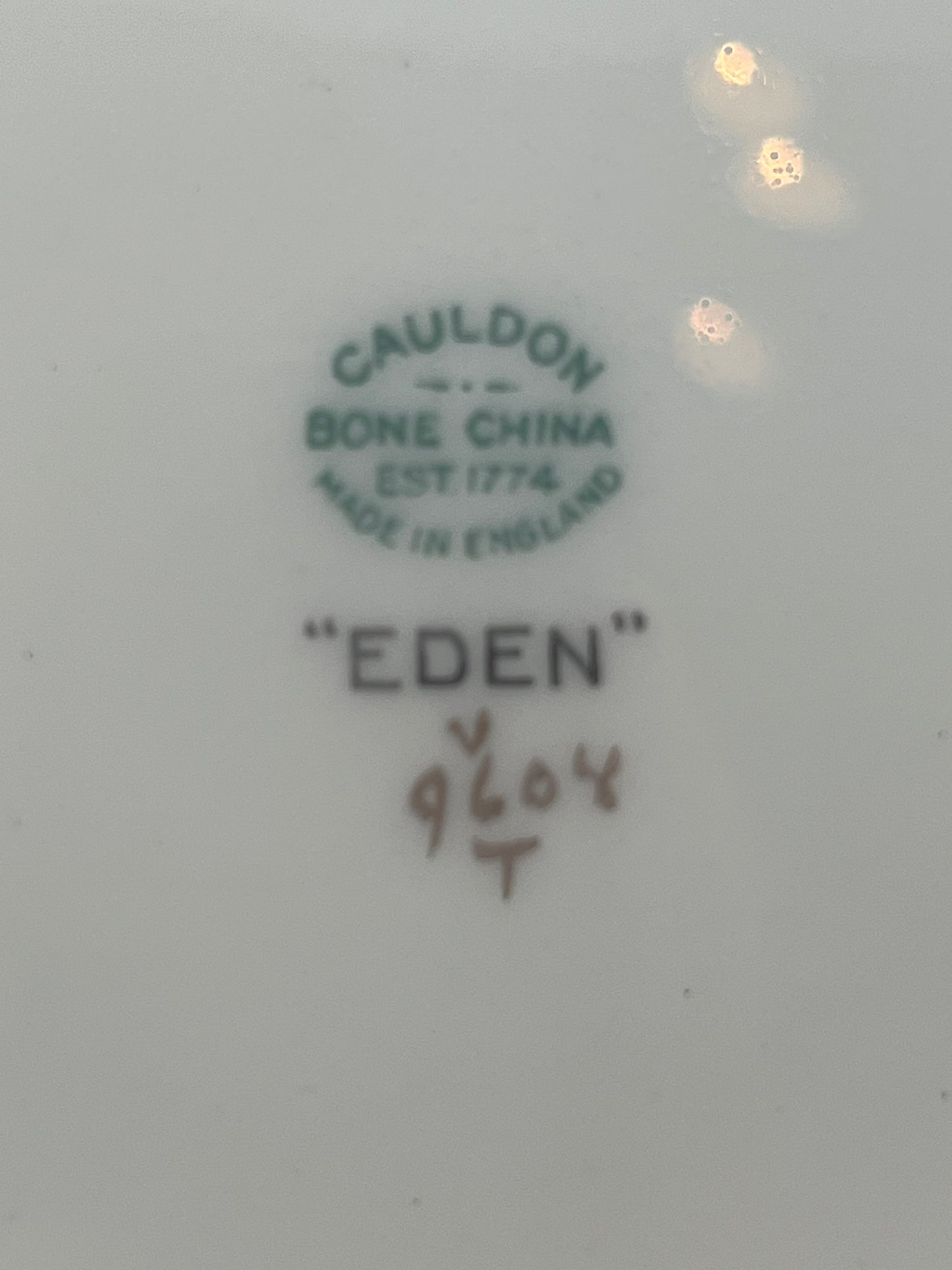 Royal Cauldon Porcelain "Eden" Large Decorative Plate