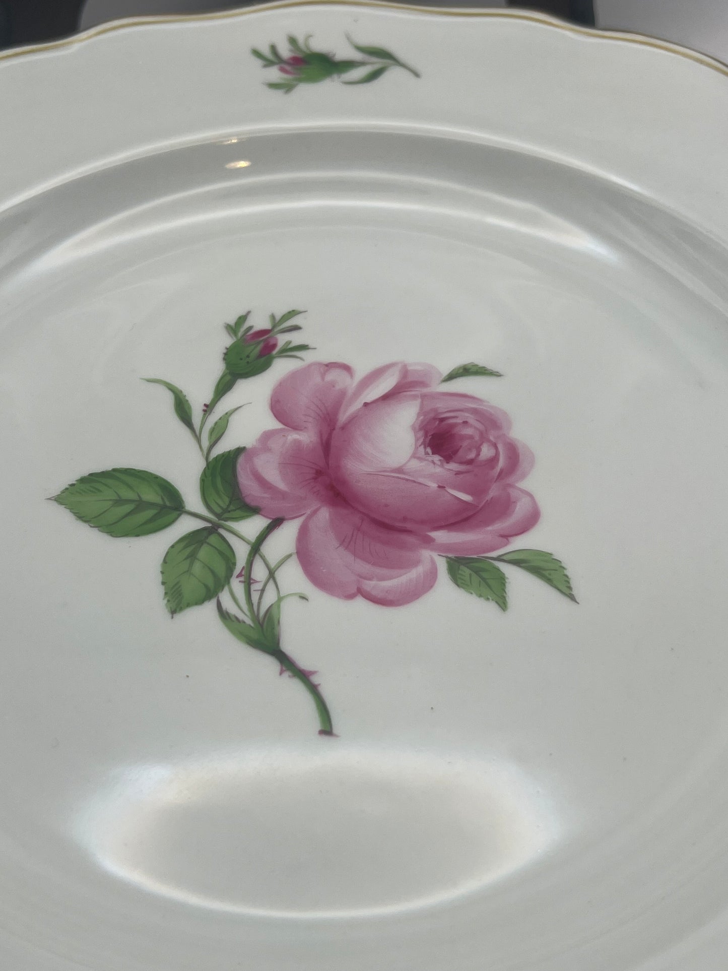 Meissen Porcelain "Pink Rose" Decorative Plates